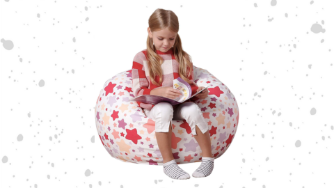 Amazon - Storage Bean Bag
