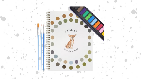 Dancart Watercolor Kits