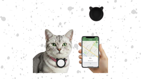 Smart Apple Pet Tag