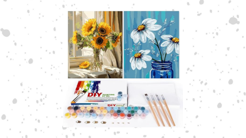 Paint by Numbers Kit