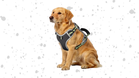 Dog Harnesses No Pull