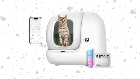 Automatic Litter Box