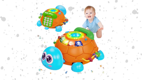 Musical Turtle Crawling Toy