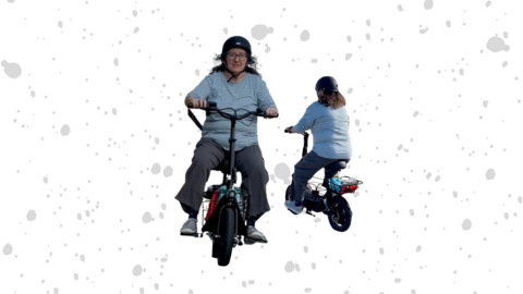 650W Electric Scooter with Seat